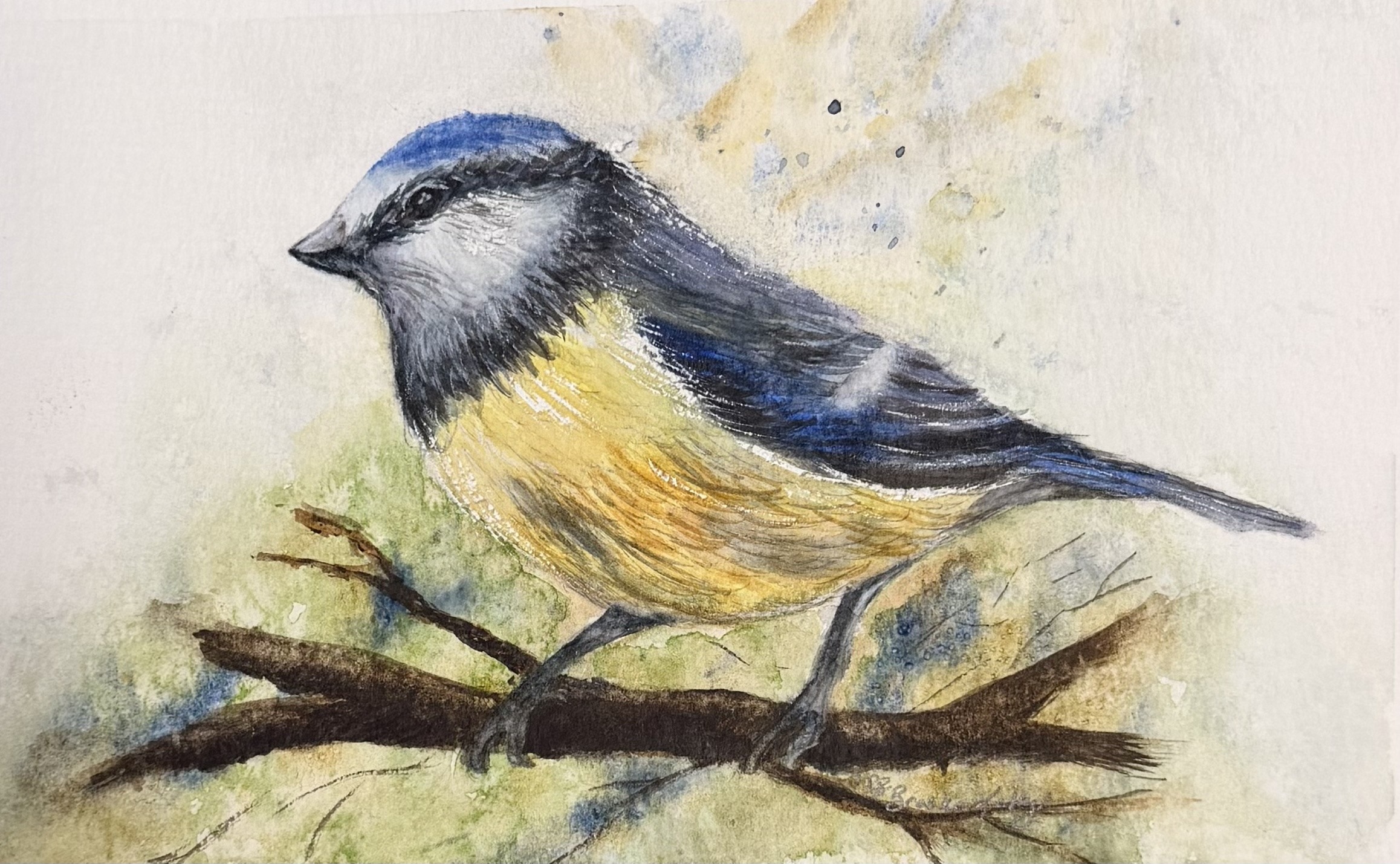 Watercolor painting of a small bird perched on branches.