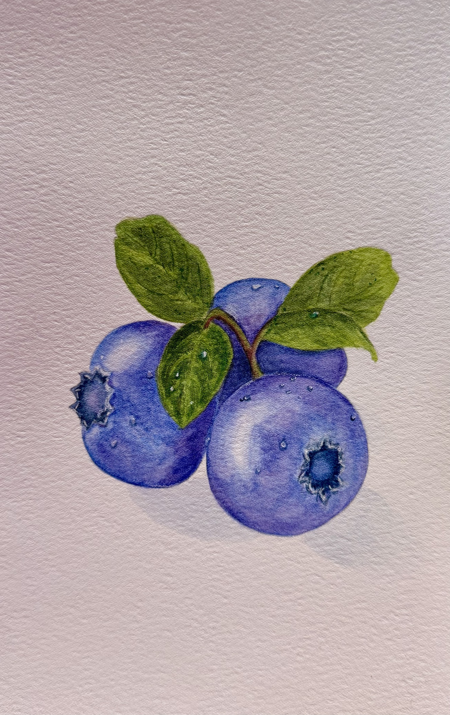 Watercolor painting of blueberries with green leaves.
