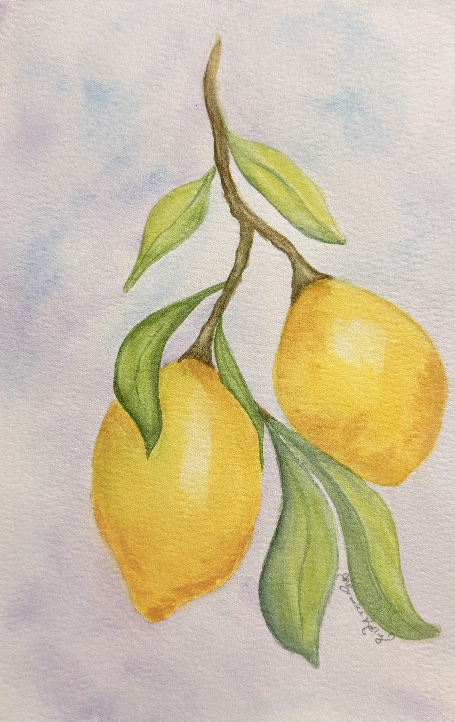 Watercolor painting of lemons hanging from a leafy branch.