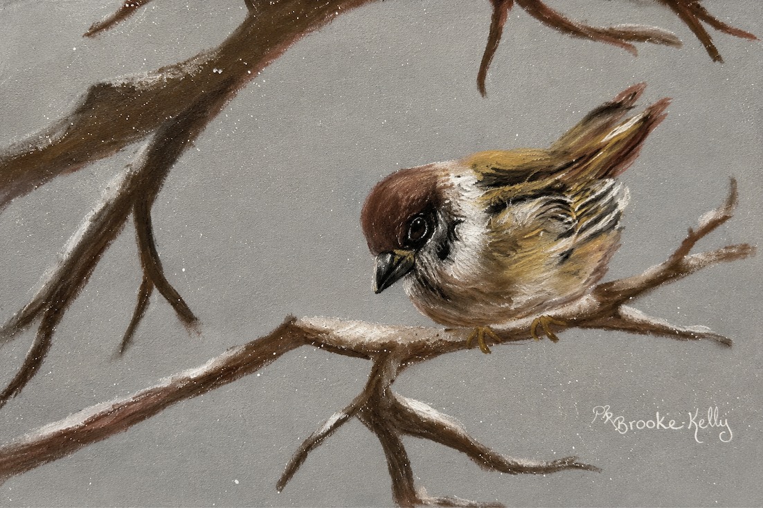 Pastel painting of a small bird perched on snowy branches.