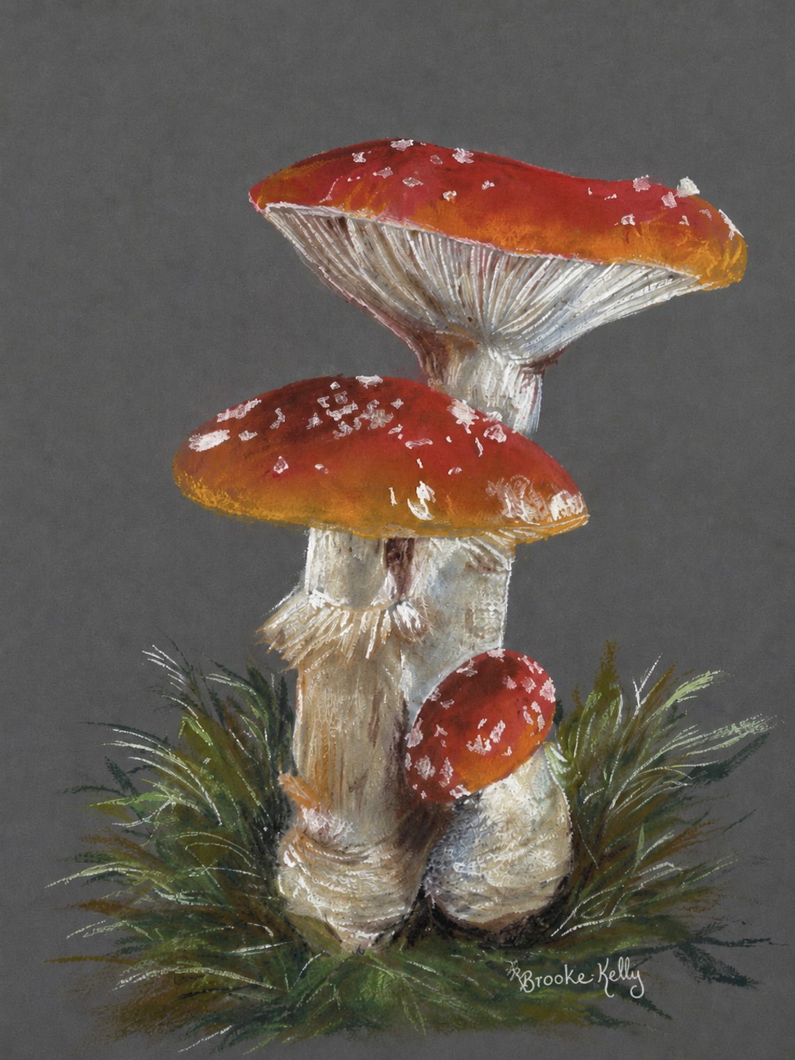 Pastel painting of red-capped mushrooms on a gray background.